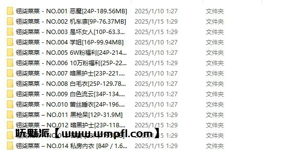 919、翎柒菜菜 – 全套合集14套[3.5G]
